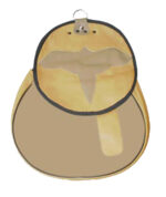 two shade falconry bag