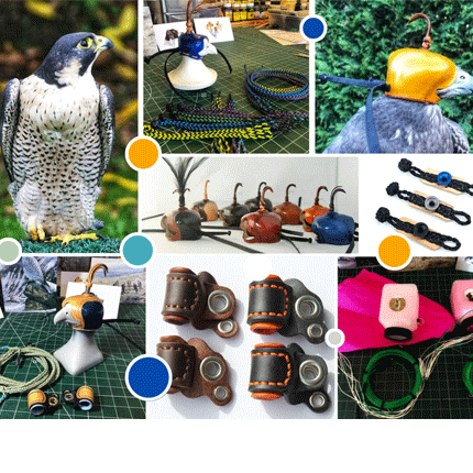 All Falconry Equipment